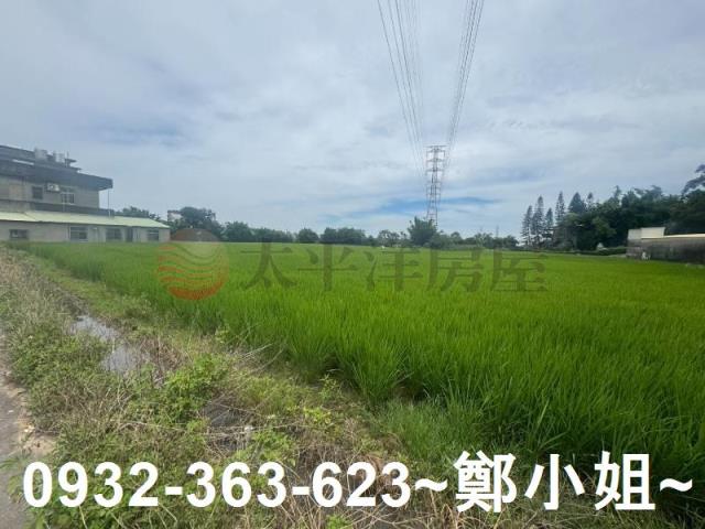 桃園農地-10