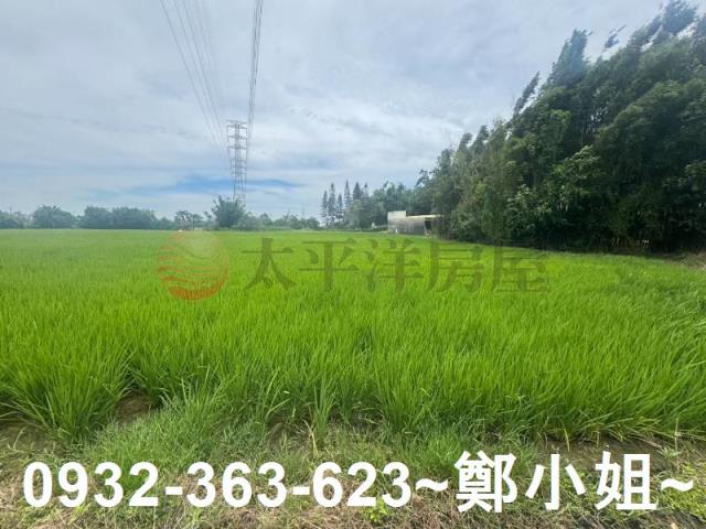 桃園農地-11