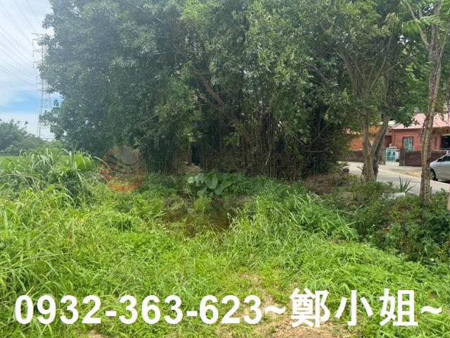 桃園農地-12