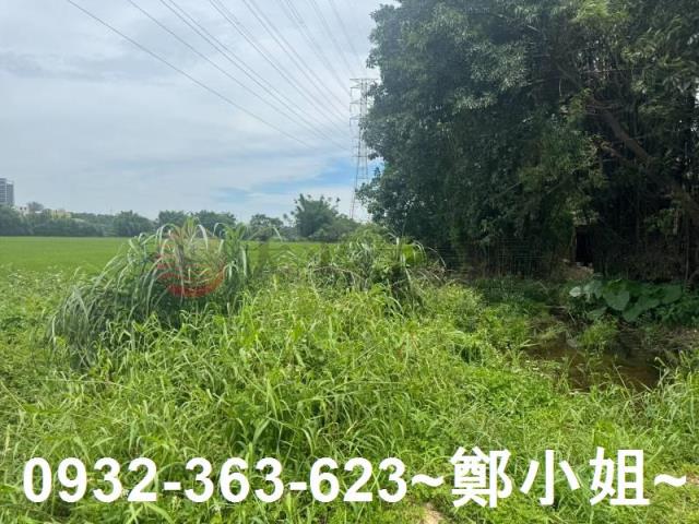 桃園農地-13