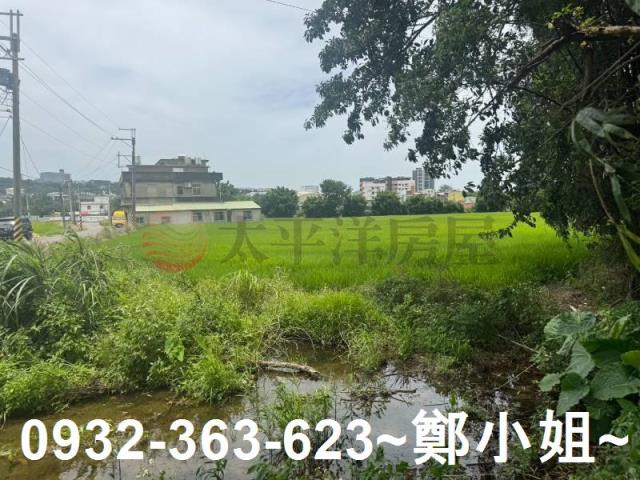 桃園農地-15