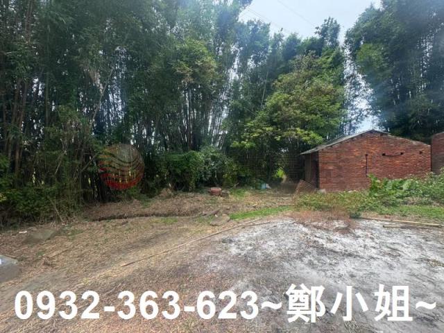 桃園農地-3