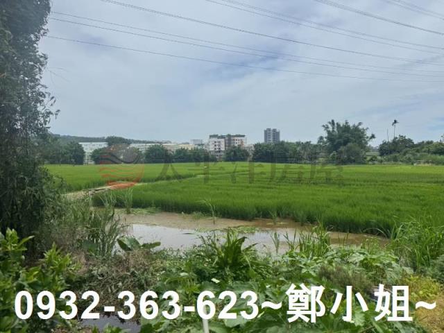 桃園農地-4