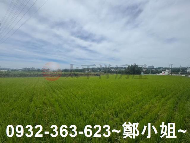 桃園農地-8