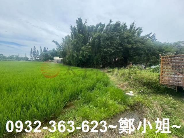 桃園農地-9