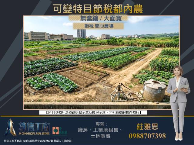 桃園八德農地-1