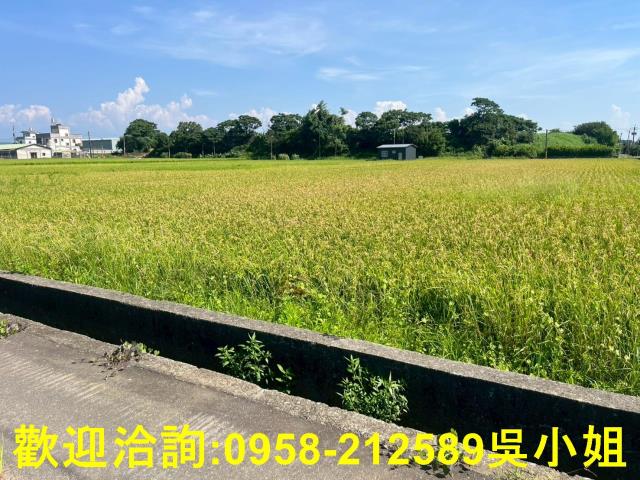 新竹湖口農地-2