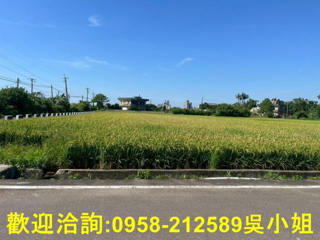 新竹湖口農地-6