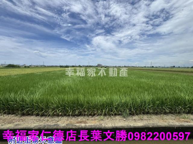台南佳里農地-7