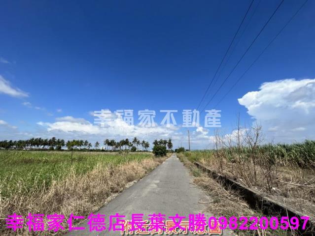 台南新市農地-11