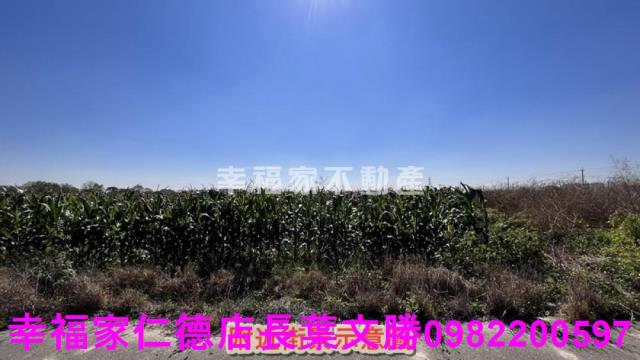 台南新營農地-1