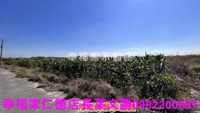 台南新營農地-2