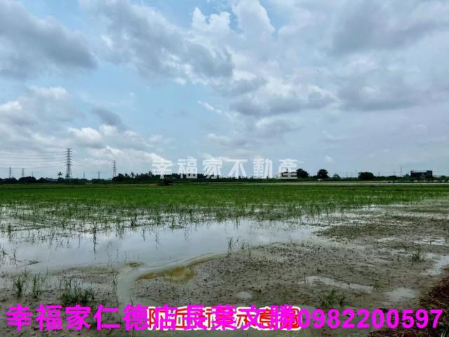 新市農地-11