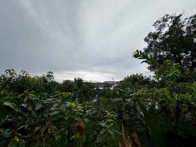 玉井住宅地-2