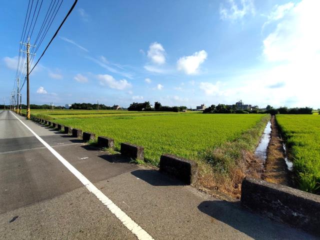 新屋農地-3