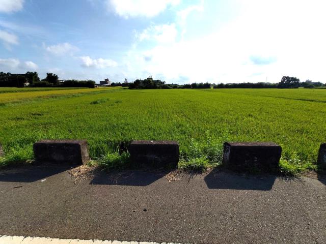 新屋農地-4