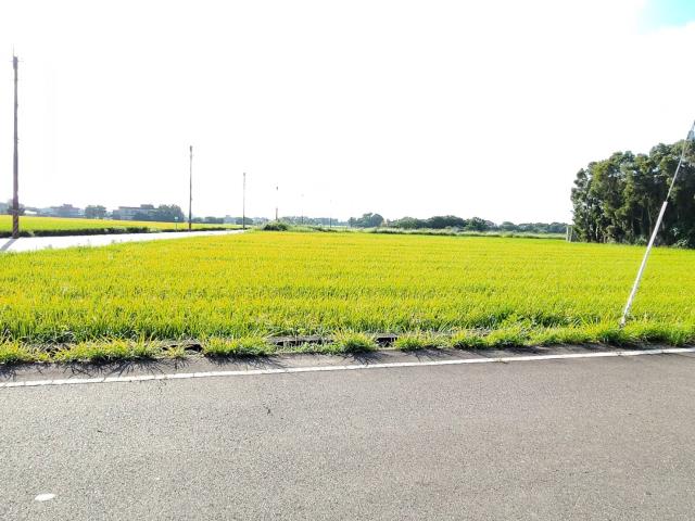 新屋農地-3