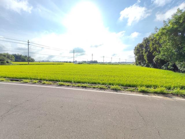 新屋農地-5