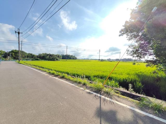 新屋農地-6