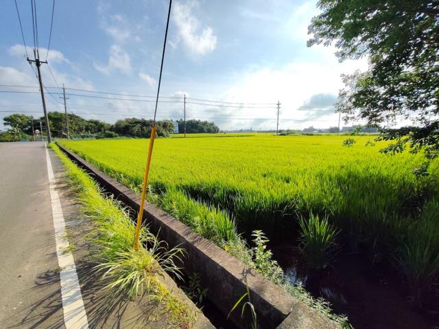 新屋農地-7