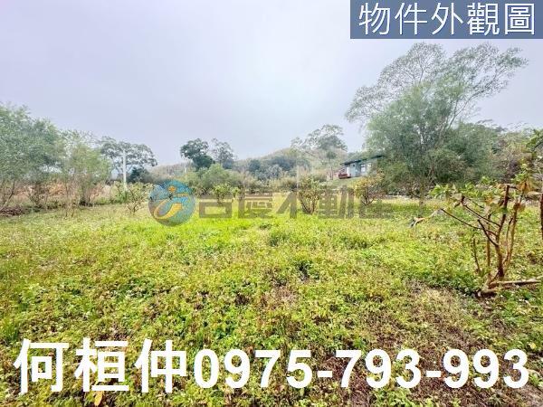 銅鑼農地-1