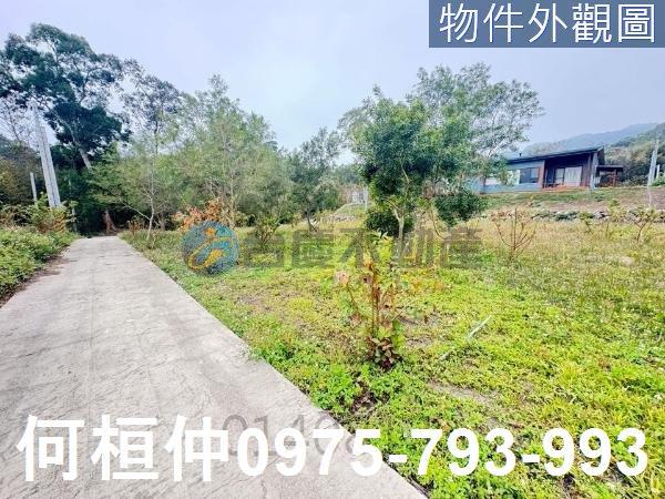 銅鑼農地-5