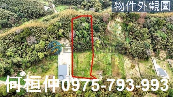銅鑼農地-1