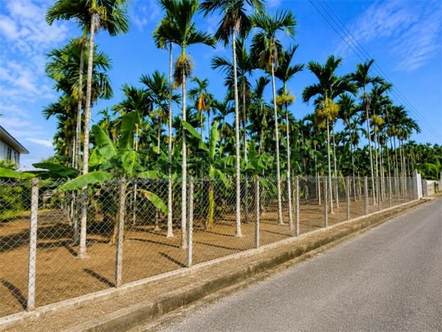 內埔農地-2