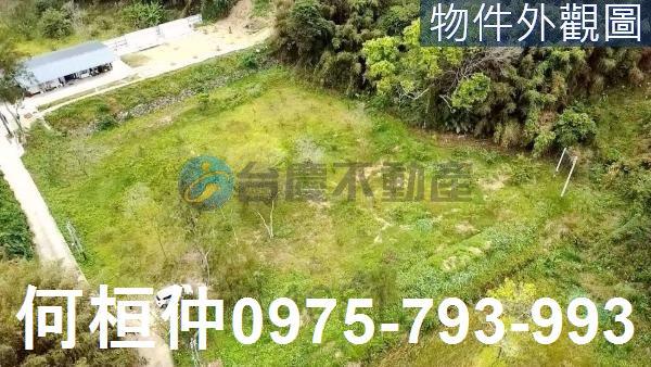 銅鑼農地-4