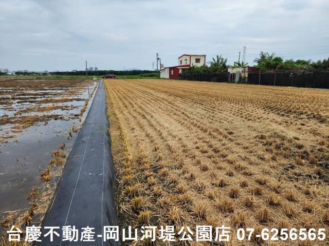 橋頭農地-10