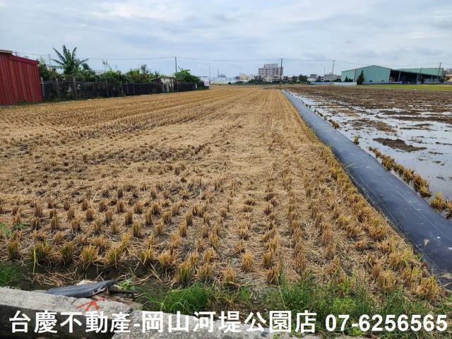 橋頭農地-2