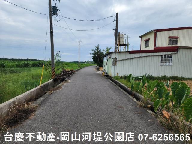 橋頭農地-3