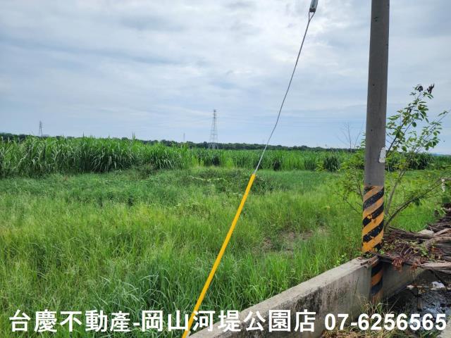 橋頭農地-5
