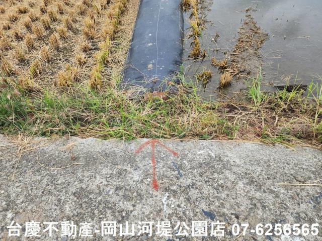 橋頭農地-7