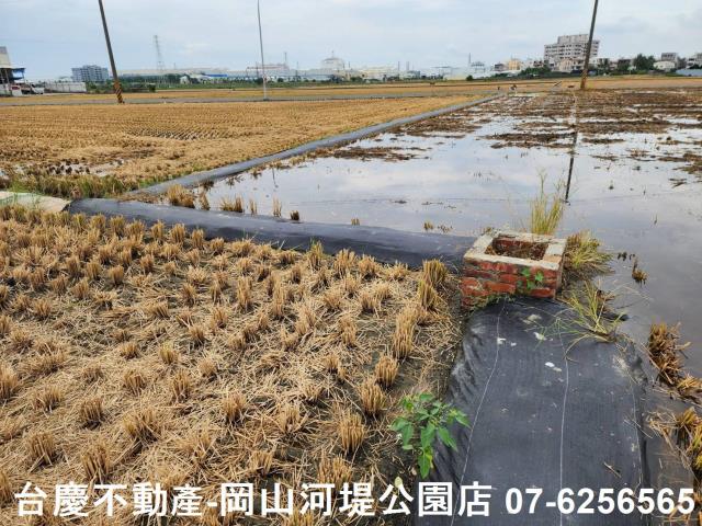 橋頭農地-8