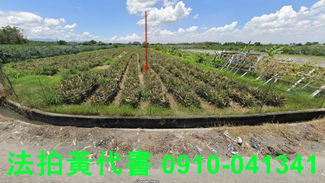 斗六拍賣農地-1