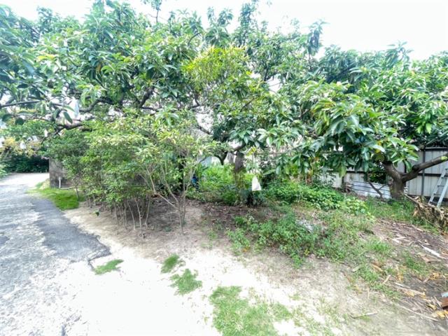 台南建地-9