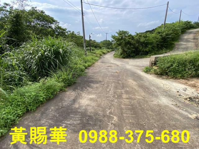 桃園農地-2