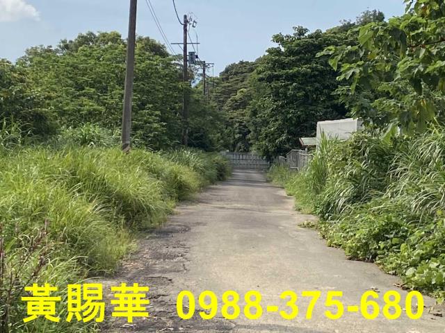 桃園農地-3