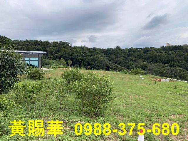 桃園農地-4