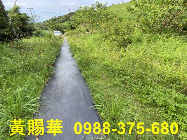 桃園農地-5