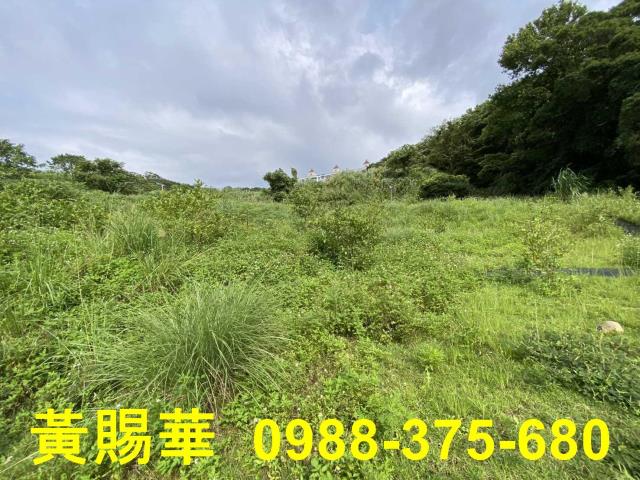 桃園農地-6