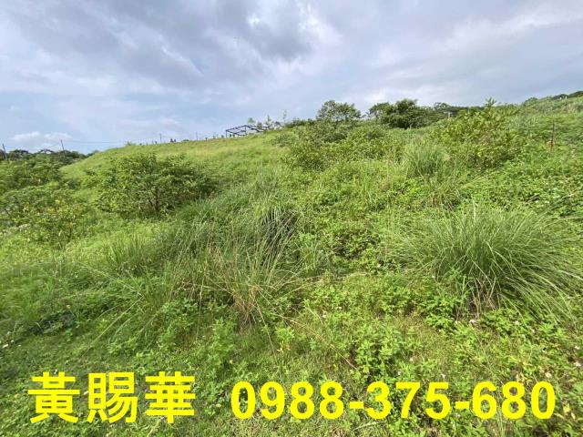 桃園農地-7