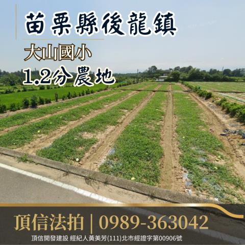 苗栗後龍法拍農地-1