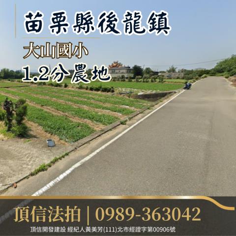 苗栗後龍法拍農地-2