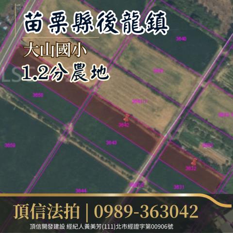 苗栗後龍法拍農地-3