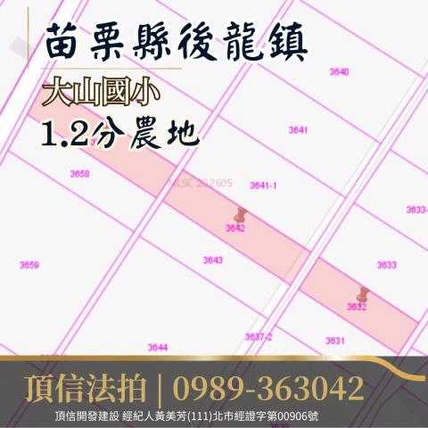 苗栗後龍法拍農地-4