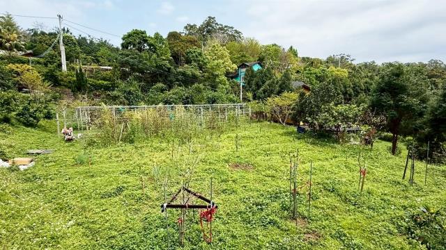 新竹峨眉農地-12