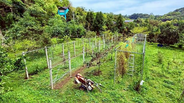 新竹峨眉農地-13