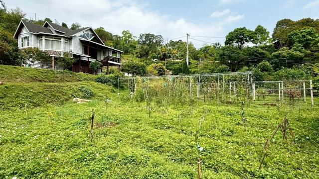 新竹峨眉農地-14